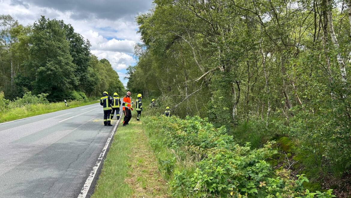 Baum auf Fahrbahn